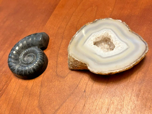 Rare agate moss - rare,