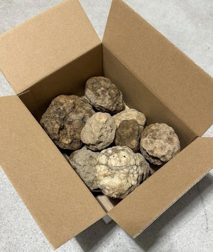 Box whole natural - box, of