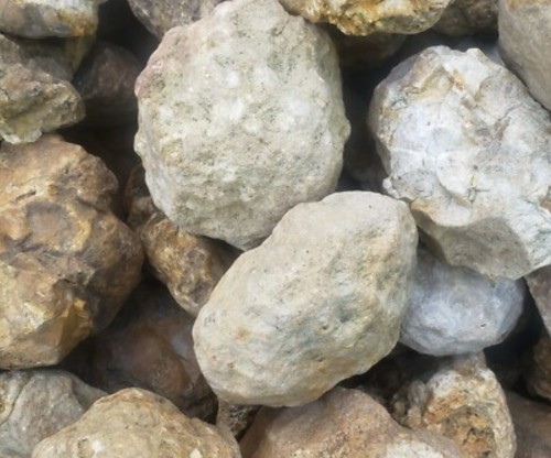 10lbs premium kentucky uncut - kentucky,