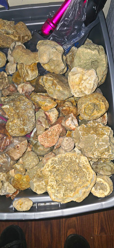 Box uncracked - of, (whole)