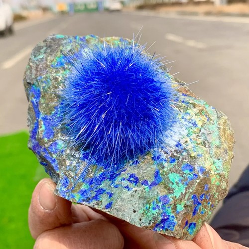 Natural raw dandelion - dandelion, zeolite
