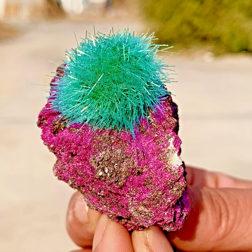 Rare dandelion zeolite cluster - dandelion,