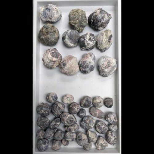 1lb bulk fluorescent - bulk,